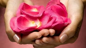 A rose in lady hands/Rózsa hölgy kezekben